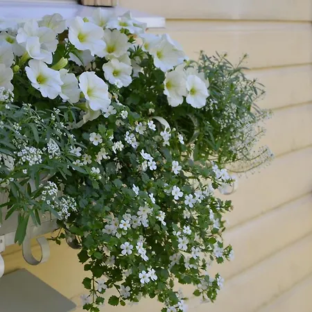 Lejlighed Papli Villade *