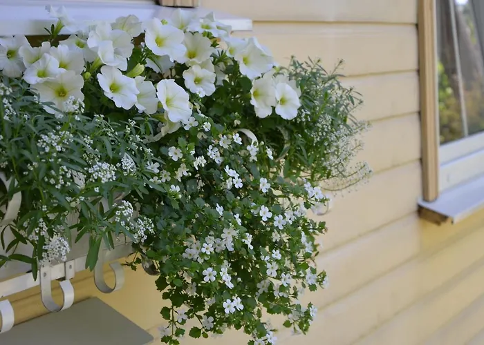 Apartment Papli Villade *